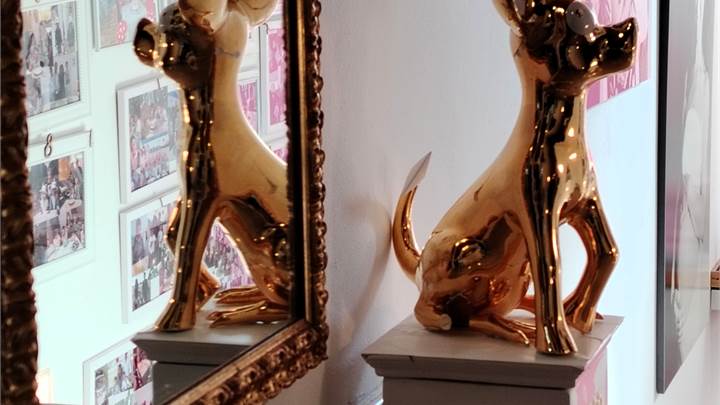 SAN LAZZARO DI SAVENA ATTICO SIGORILE  DI 170 MQ 